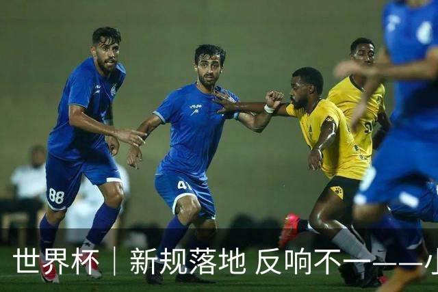 世界杯｜新规落地 反响不一——小组赛首轮盘点