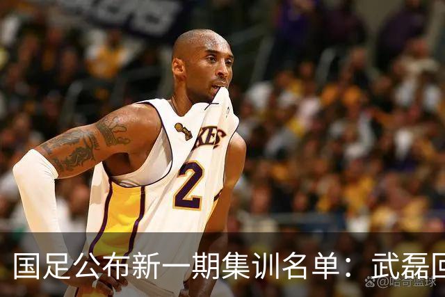 国足公布新一期集训名单：武磊回归，李昊首次入选
